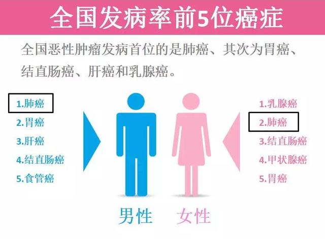 湖南抽烟人口_湖南公安厅人口出入境(3)