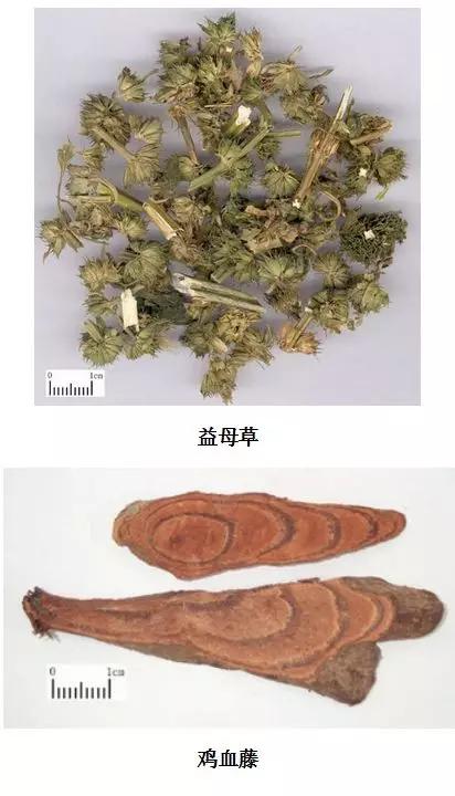 中药材图谱大全