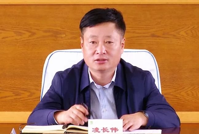 绥棱林业局有限公司党委书记,董事长凌长伟主持会议并讲话.