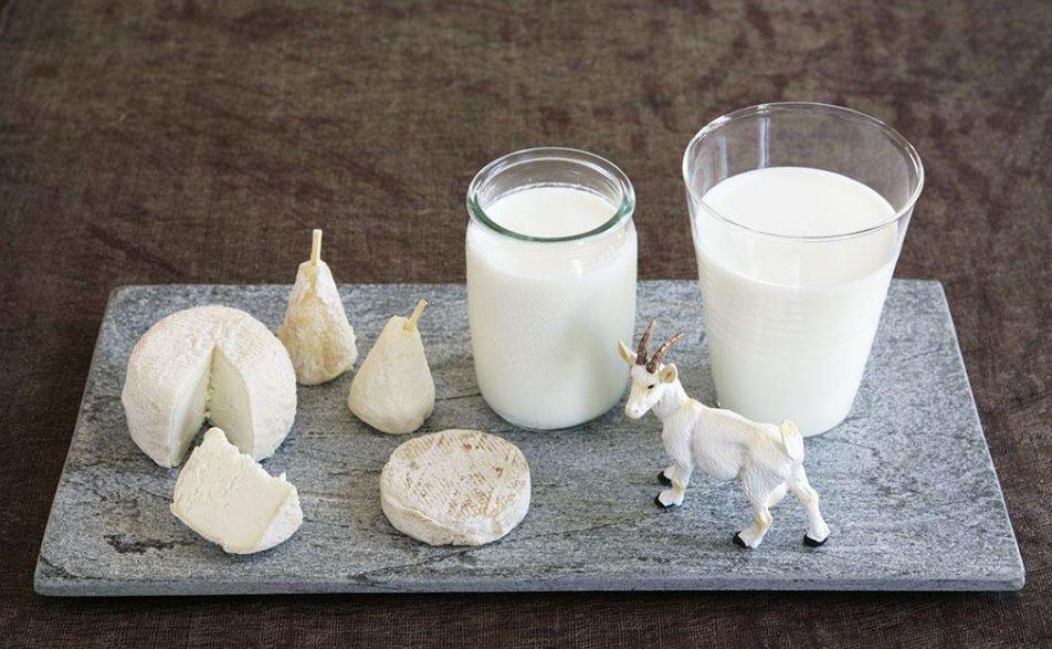 羊奶排名_羊奶果图片(3)