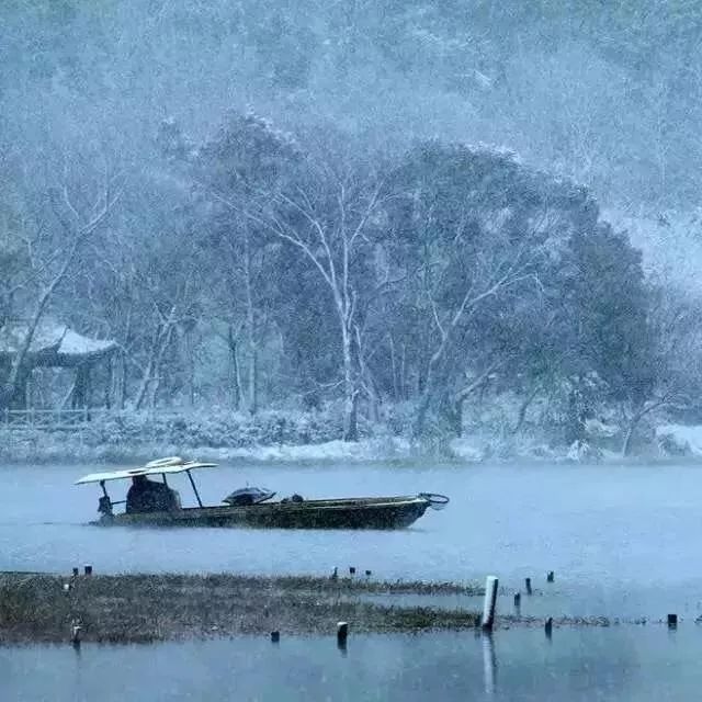 大雪| 浮生吹作雪,世味煮成茶