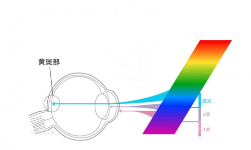 7ed623a95e3042edb67390c3b4078259.png