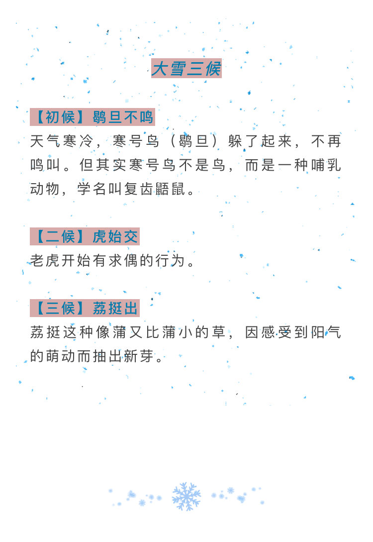 93ae6e67c0254e8ea41657bf302c5c07.jpeg