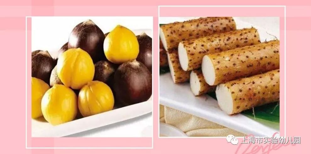 什么食物可以止拉肚子 ad76b263508241ae86e3b58cb3286d0f.jpeg