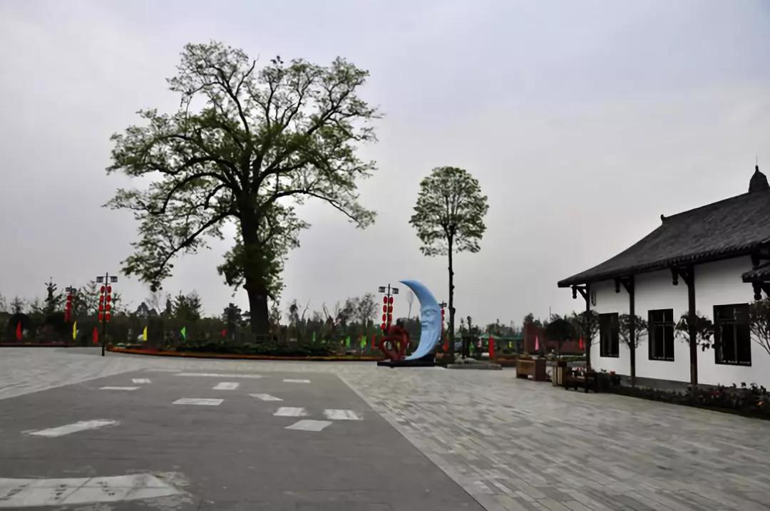 四川红豆村,由一棵千年红豆树引发出的乡村"幸福"产业!