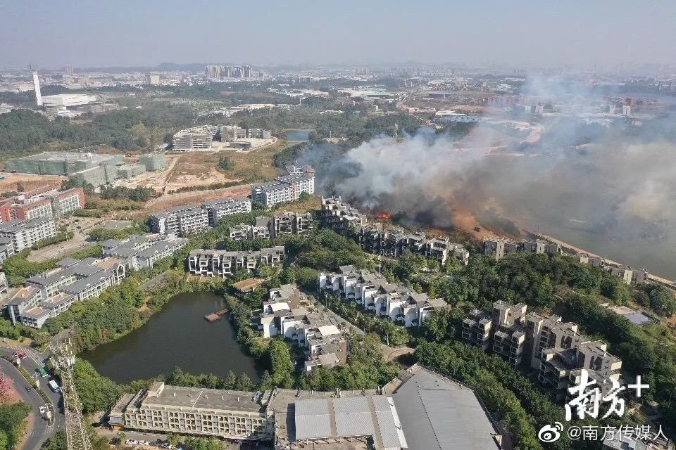 佛山市多处起山火!狮山大学城旁浓烟滚滚,在校大学生应急撤出!