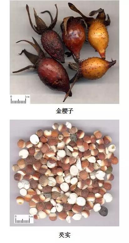 中药材图谱大全
