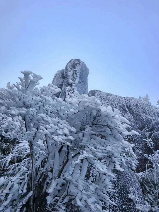 2019年德化的第一场雪九仙山安排上号