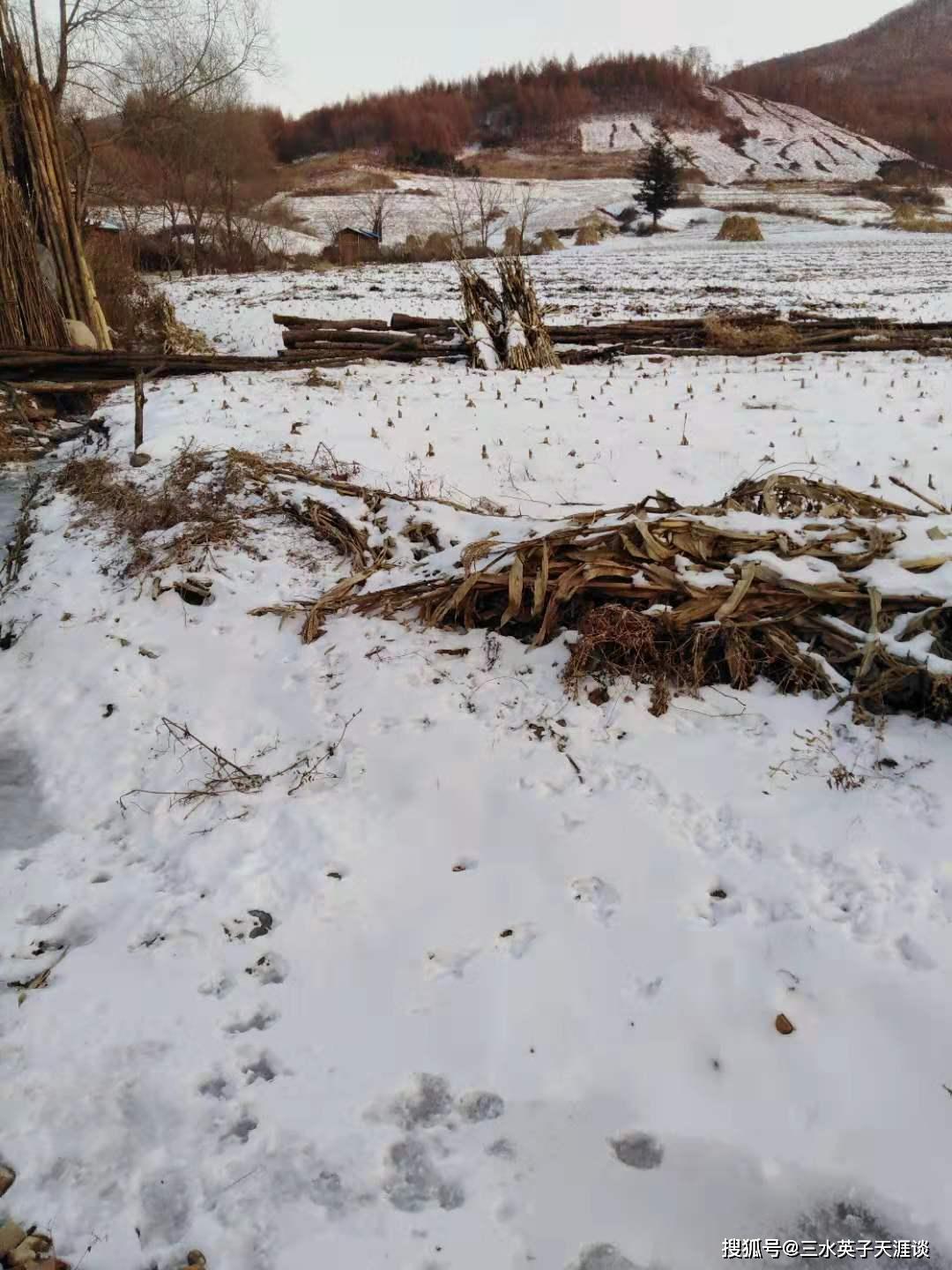 【辽宁本溪农村2019年的冬天】土地的白雪和冷冻的河流依然有冬天的