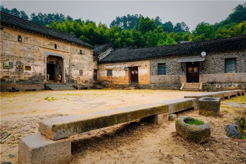 梦回小巷，解密修水沟旁的小白狗之谜
