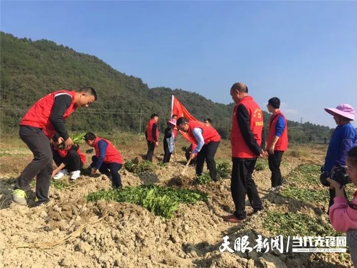 三都石板村人口_成都市石板滩镇马家村(2)