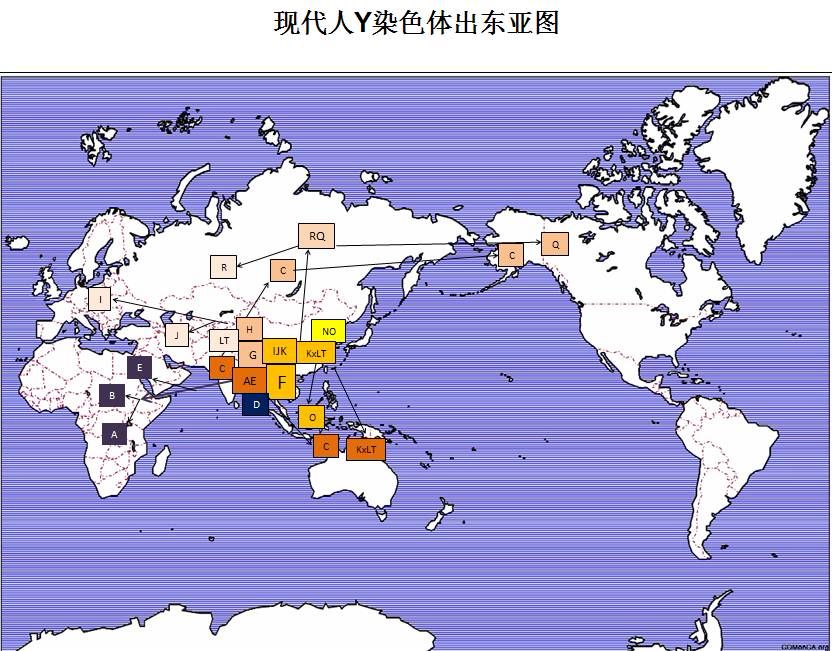 人口现代型是_人口普查(2)