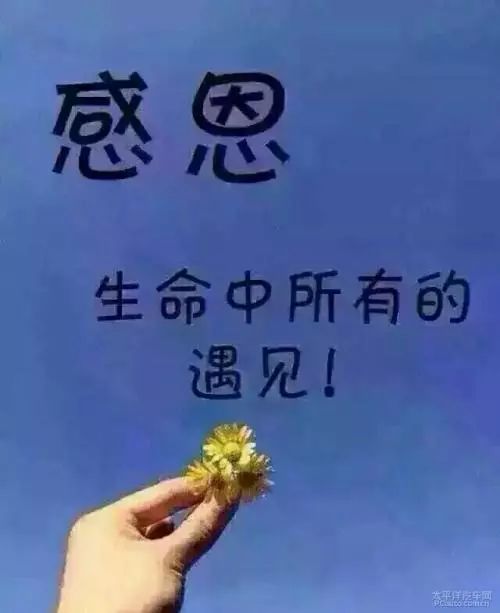 感恩_人生观