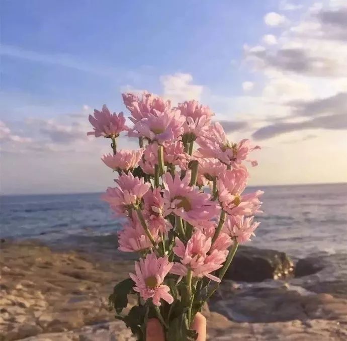 instanight头像壁纸 | 偶尔心动 惯性拒绝