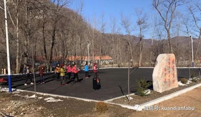 牛毛坞人口_牛毛小叶紫檀