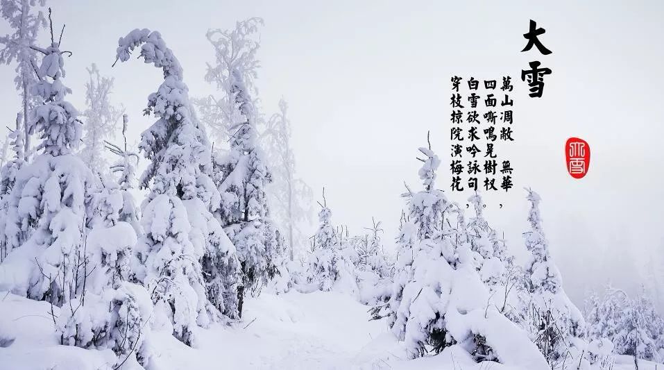 二十四节气之大雪