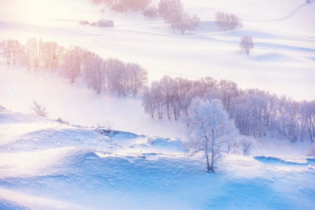 大雪| 千里冰封,万里雪飘