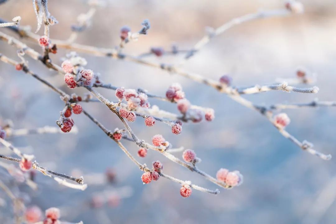 暮秋曲谱_陶笛曲谱12孔(2)