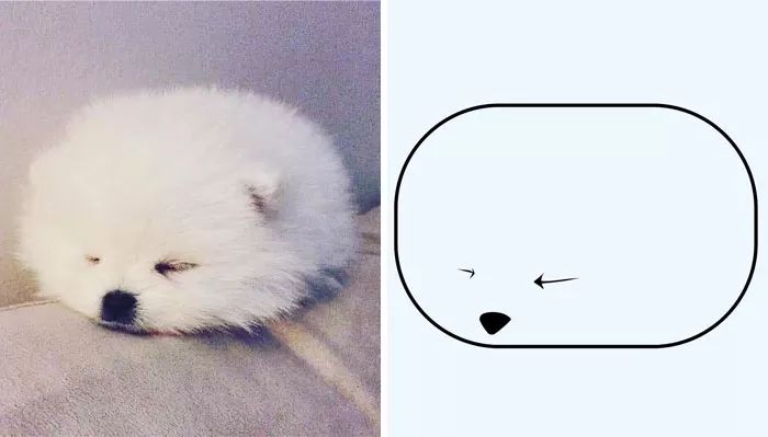 画个呆萌的小动物, 需要多少笔?