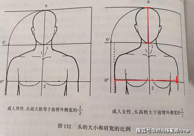 头大身小 根据权威美学比例认证,女性体型最优美的头肩比例是头部