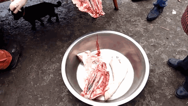 乐都年关之杀年猪,过大年!