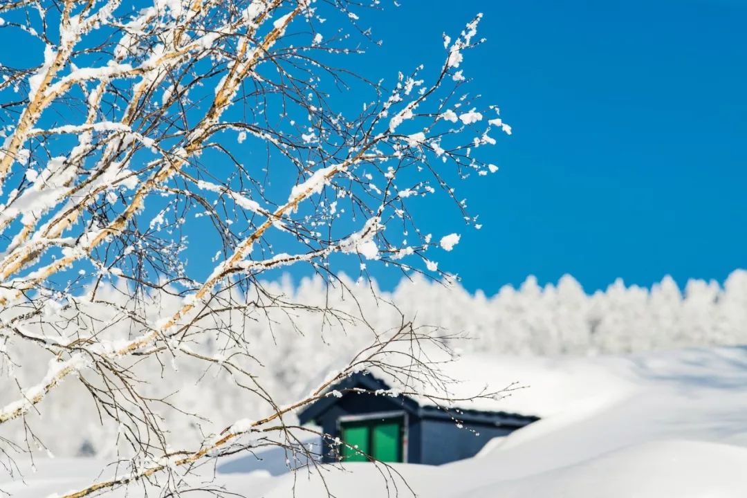 咏雪知什么成语_成语故事简笔画