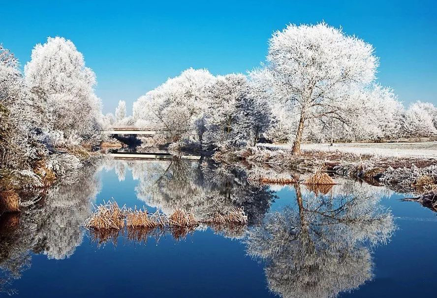 一组极美的雪景图片!【兰州画室微课堂】