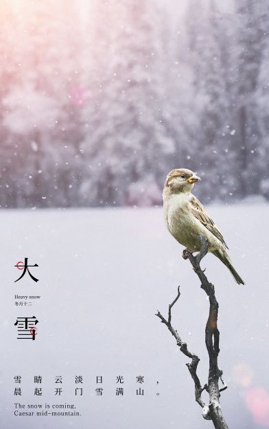 正式开始 此时,气温将显著下降 雪往往下得更大,范围更广 大雪三候 一