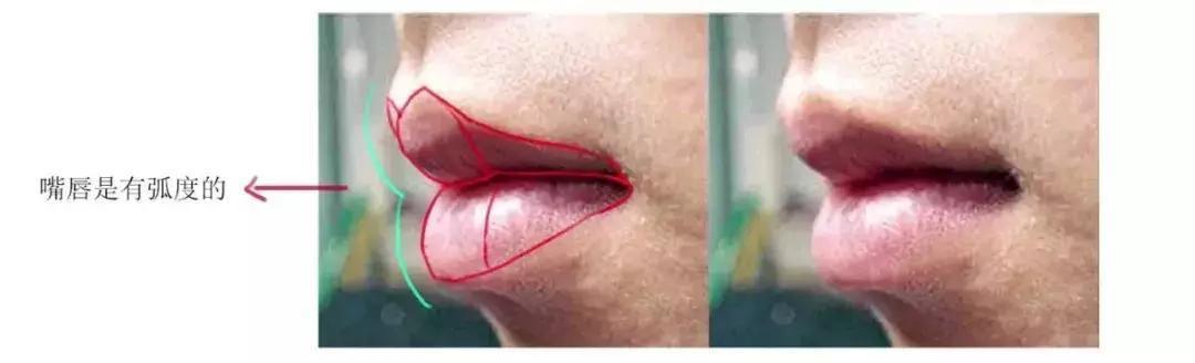 所以我们在画侧面的时候嘴巴会弯过去的.