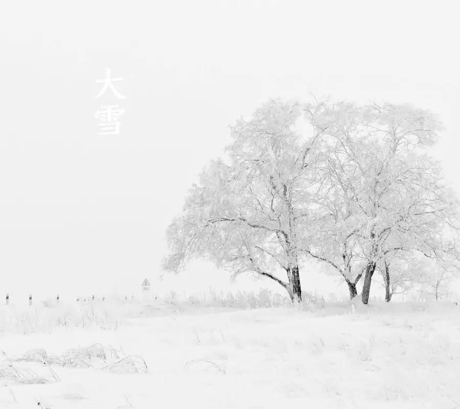 咏雪知什么成语_等什么君(4)