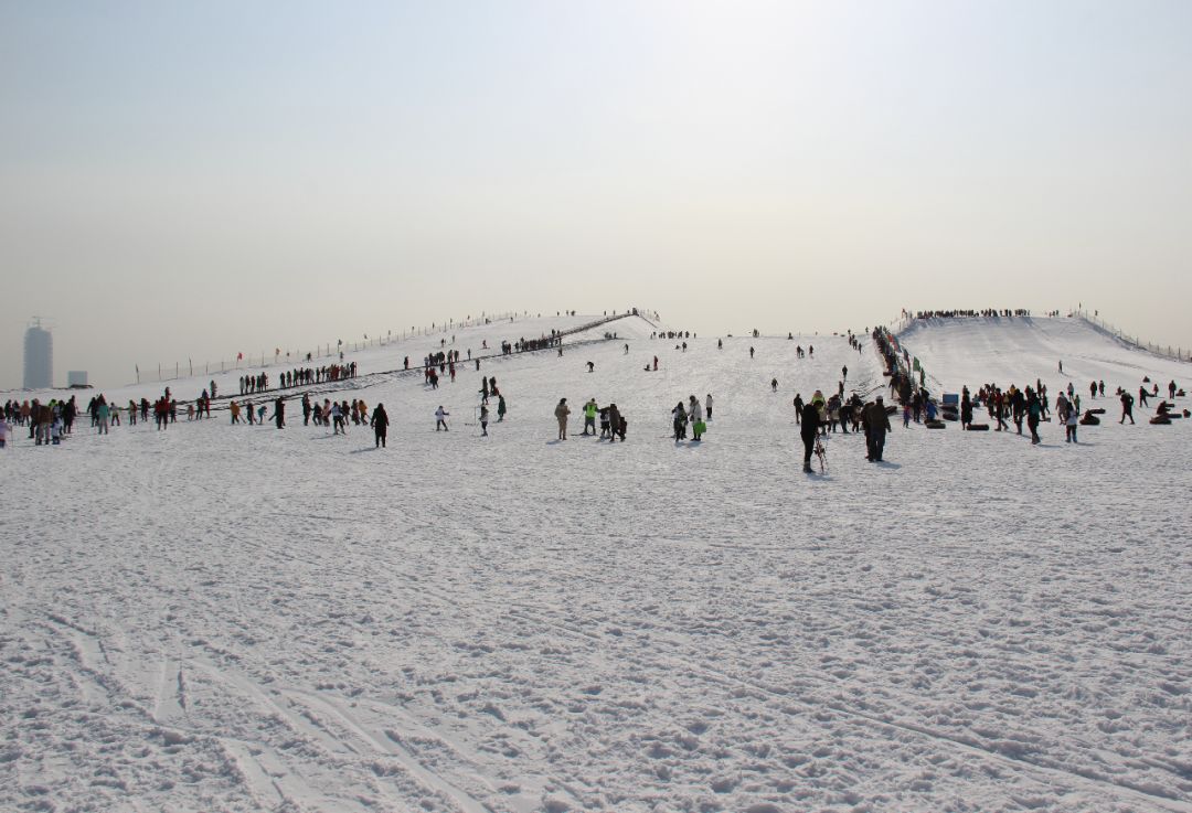 银川阅海滑雪场盛大启幕,还有鱼免费拿!