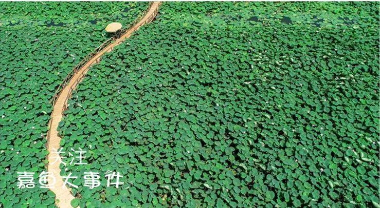 嘉鱼县有多少人口