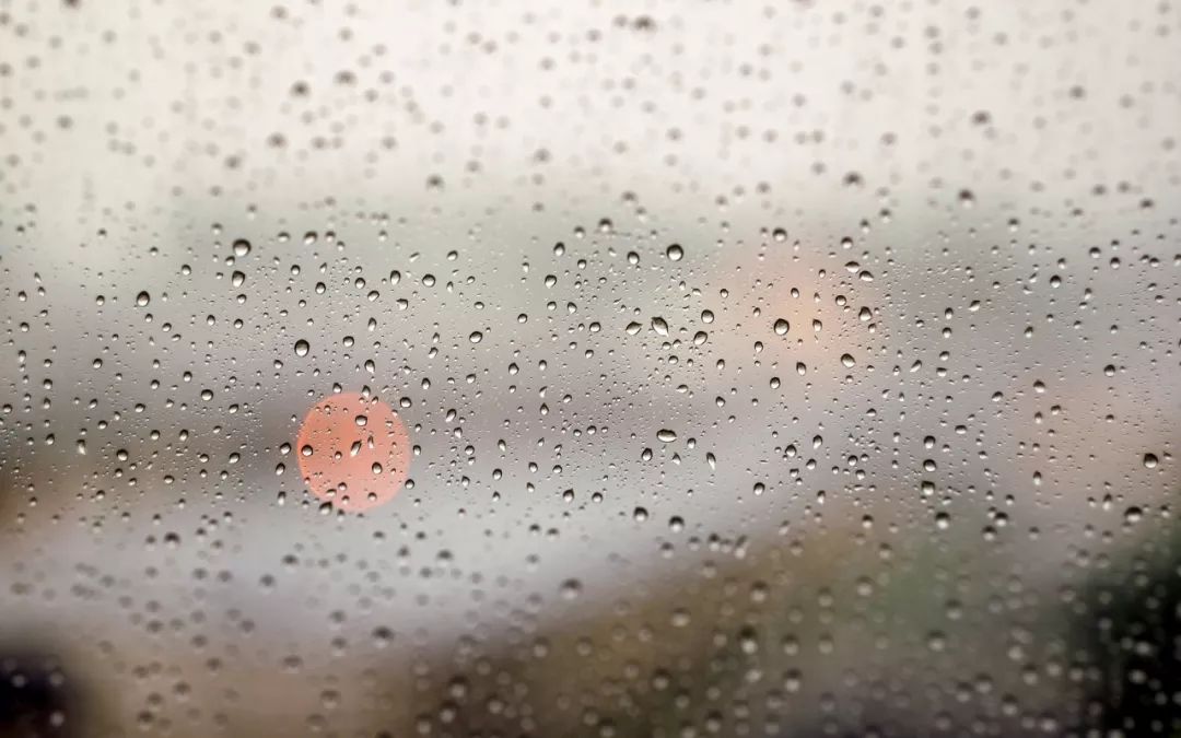 间朦胧朦胧的一片,天地之间融合在一起,似乎颗颗雨滴都流淌进农人心里