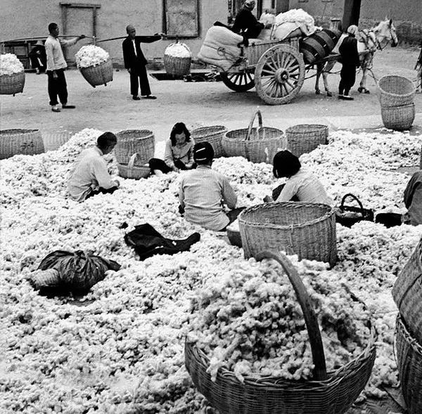 50年代农村照片