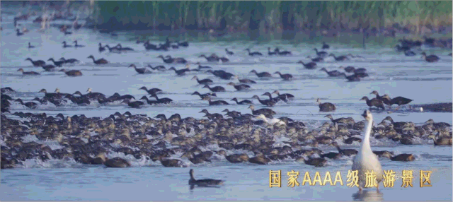 简谱查干湖_查干湖冬捕(2)