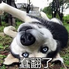 87bce09d063343e4a9c33acec226d231.jpeg