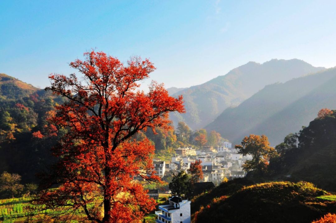 篁岭人口_篁岭图片(3)