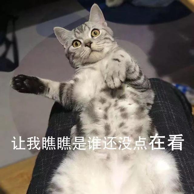 89f7e345ca3f4d6eb859e5b1990fe340.jpeg