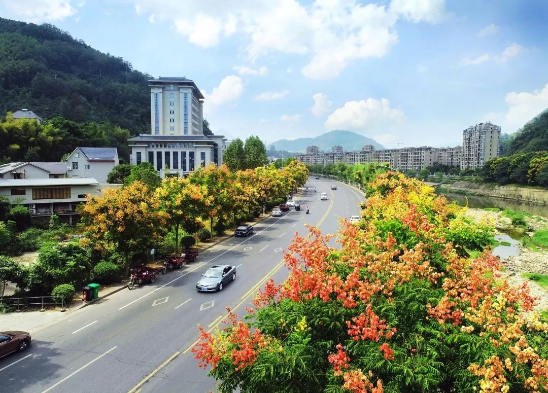 遂昌城市人口_遂昌旅游十大景点