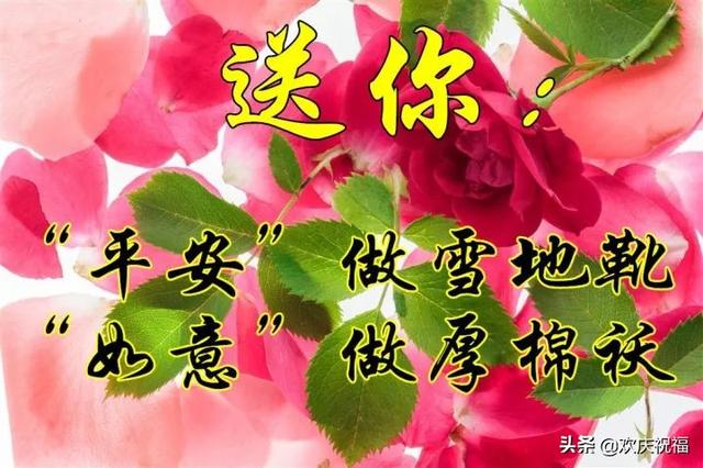 早上好,一曲《爱的雪花飘满冬季》太美了,送给牵挂我的人