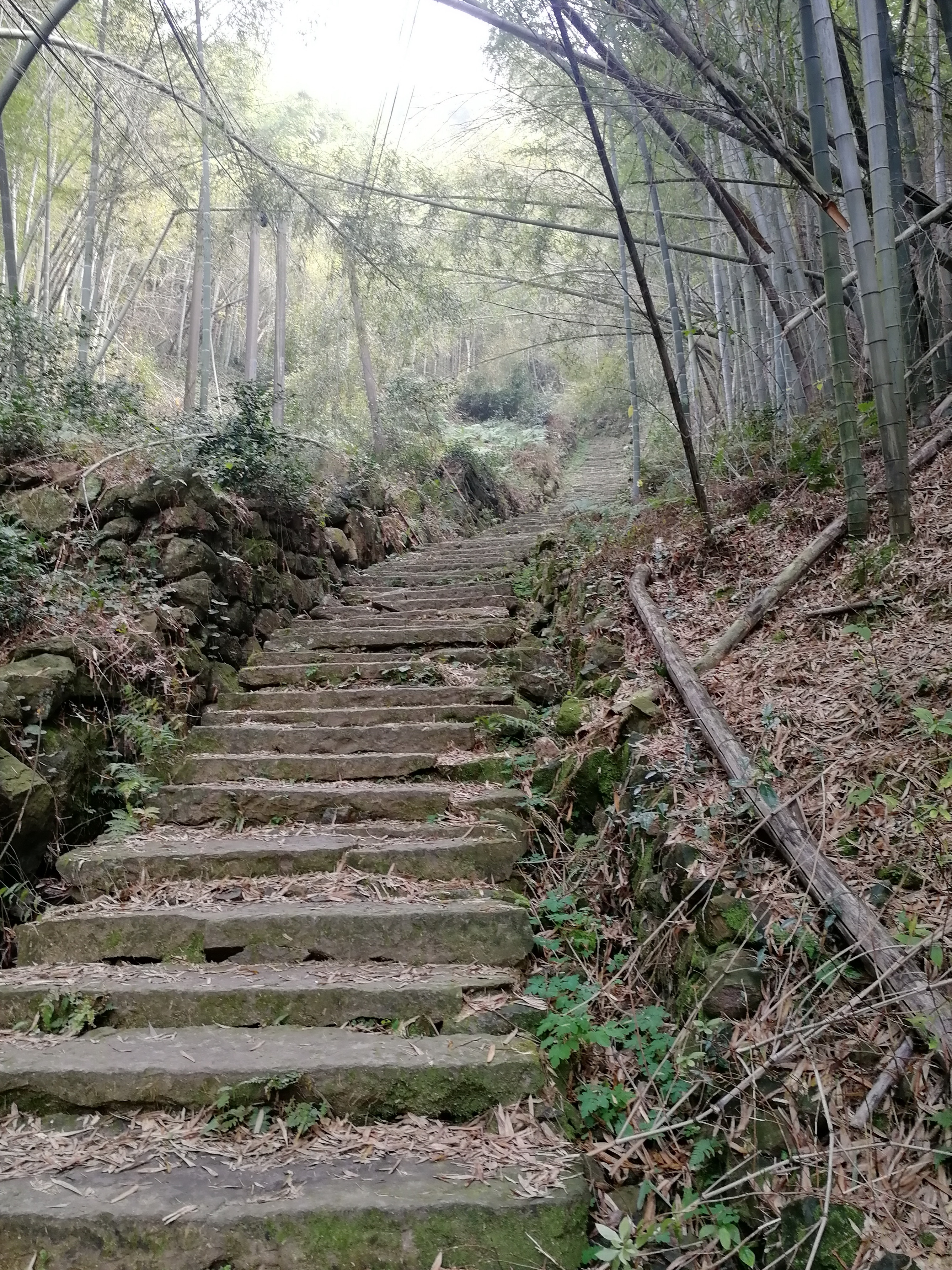 绍兴上青古道反穿之上祝村与日铸岭古道