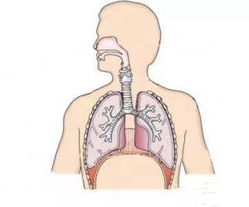 b16ab05ee8c84ff0a10bb862d9086f36.JPG