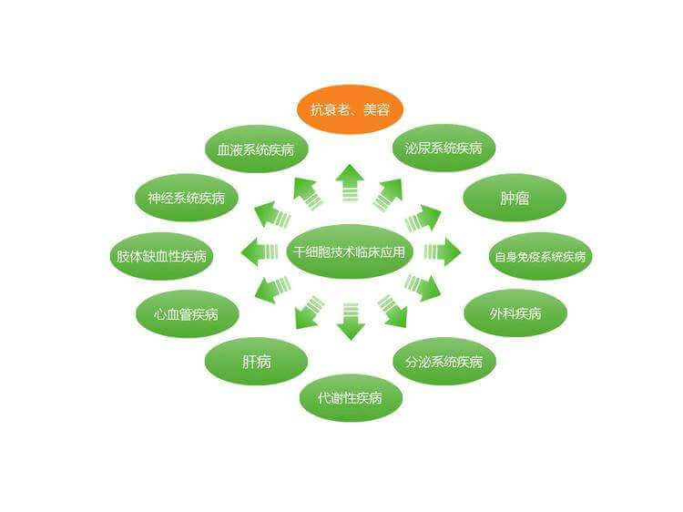 b2eb1cc3b35a4364b91c502c84c75f80.png
