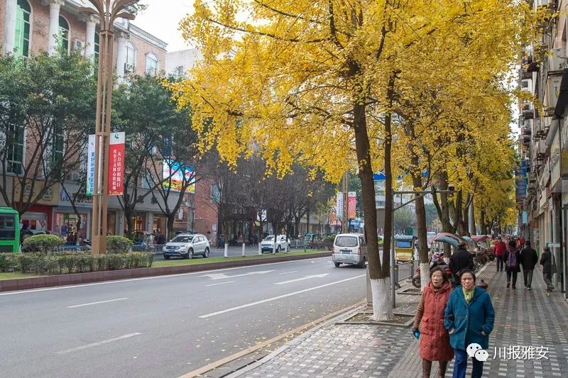 雅安雨城区人口_暴雨致G318断道 雨城区养路段抢险人员及时赶赴现场处治 北纬(3)