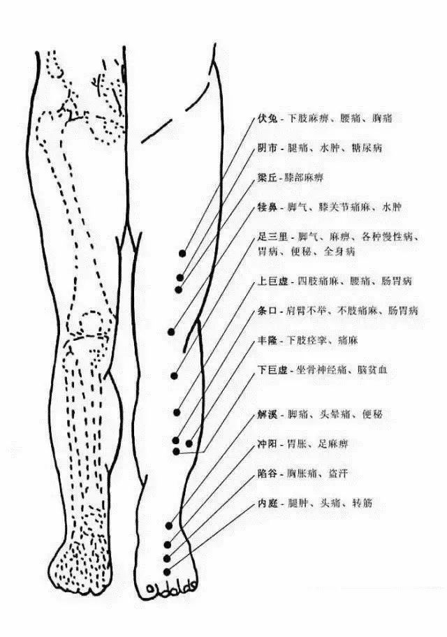 非常完整的人体穴位图与功效(果断收藏)