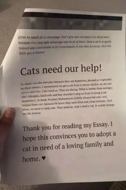caa2c17e361c478cb7ba8702e4fe0908.jpeg