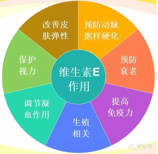 你了解维生素e吗?维生素e不可缺,具体的作用是什么?