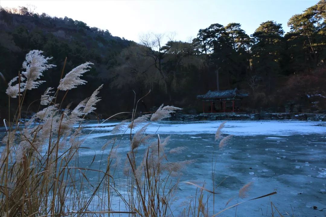 香山话大雪深冬时大雪至