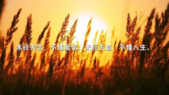 dd1ac7f16b4f4eab995940cbe48d4019.jpeg
