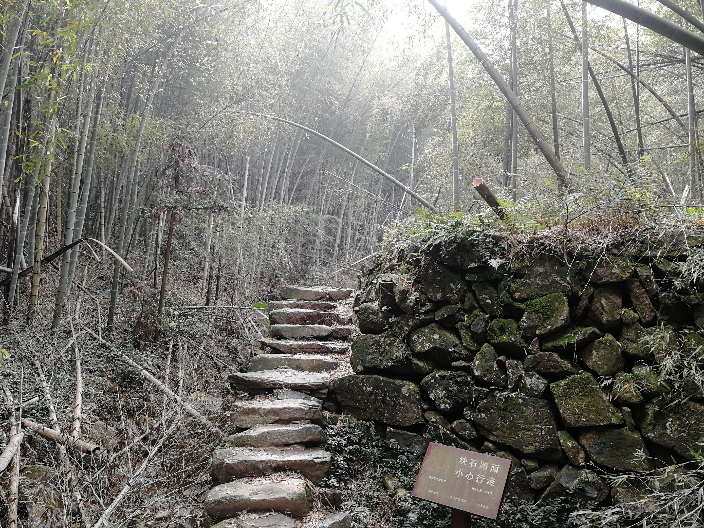 绍兴上青古道反穿之万寿山步道驴行